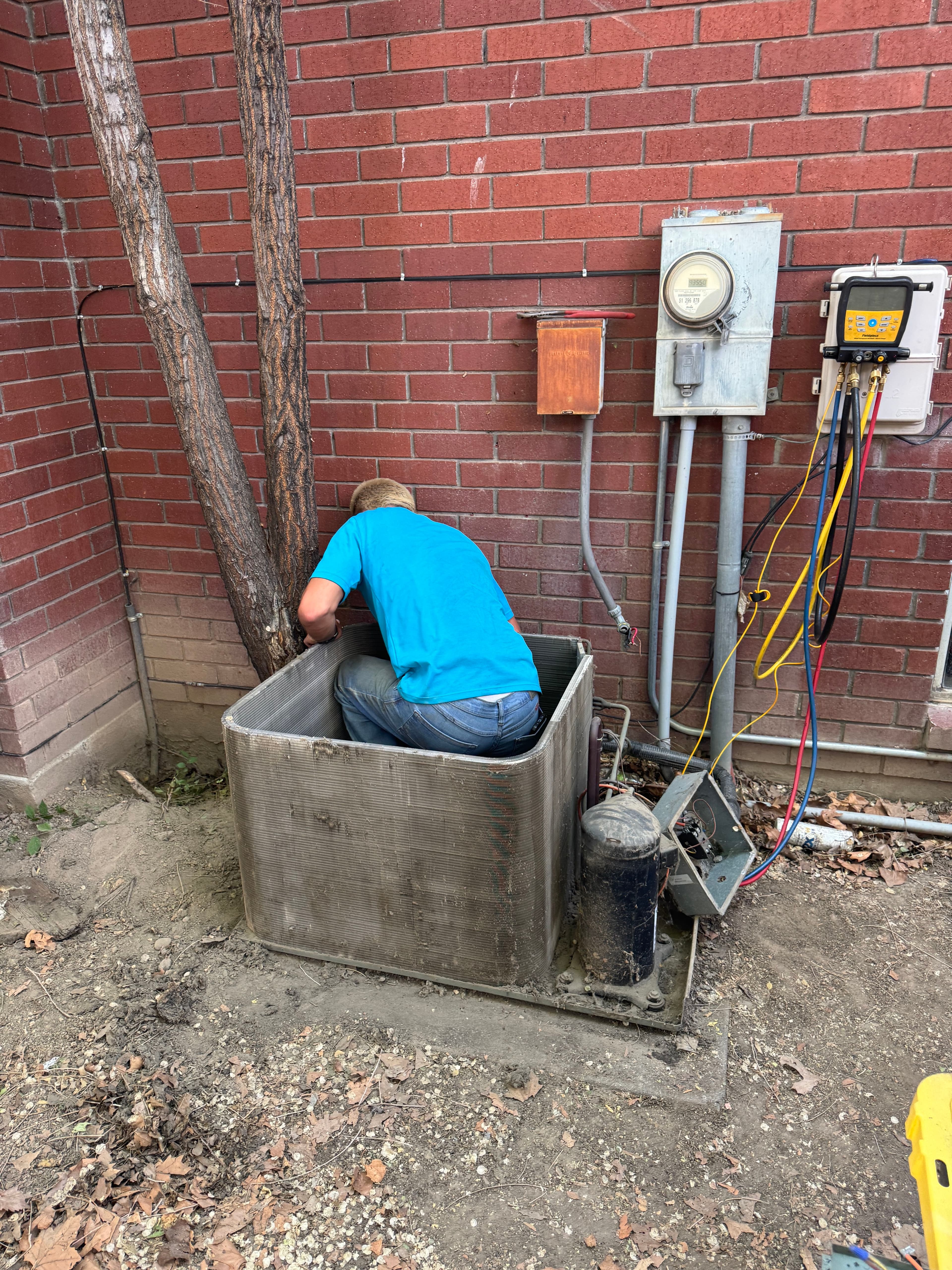 Project Bringing a 1998 Rheem Back to Life in Pleasant Grove image