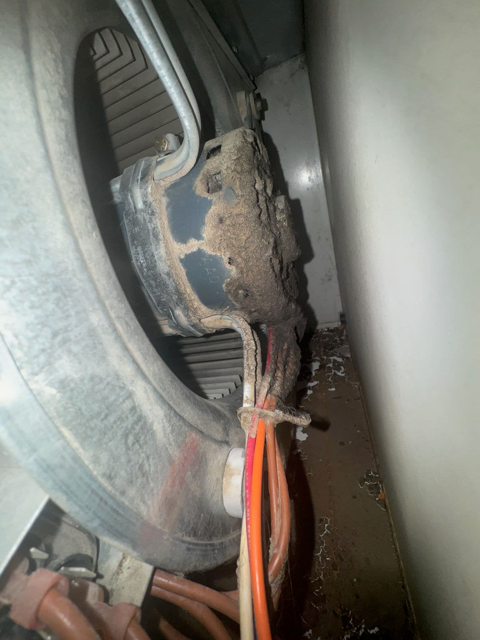 Gallery photos for Reviving AC Efficiency with Expert Blower Repair: Image #1