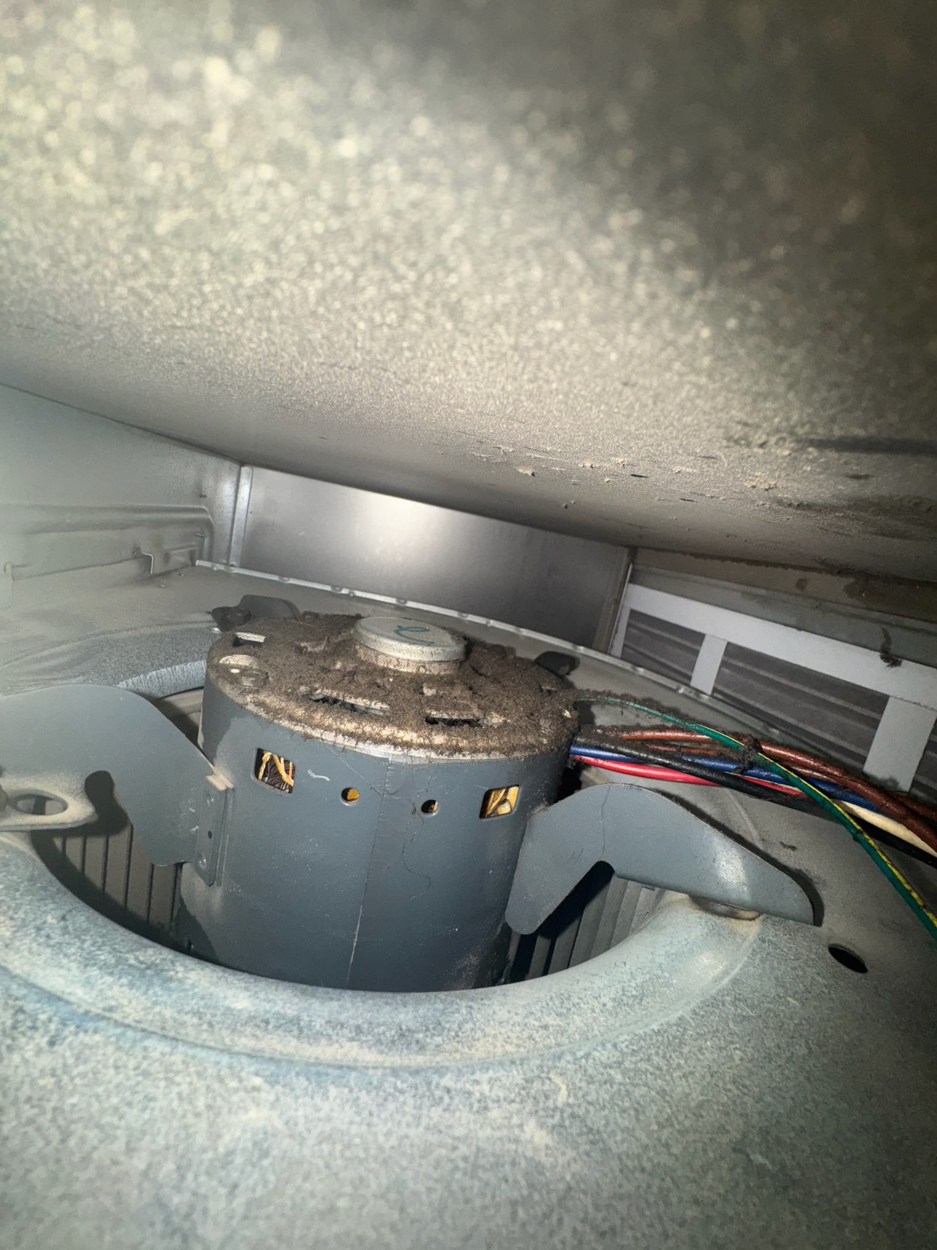 Prepare Your Furnace for Fall with Expert Cleaning image