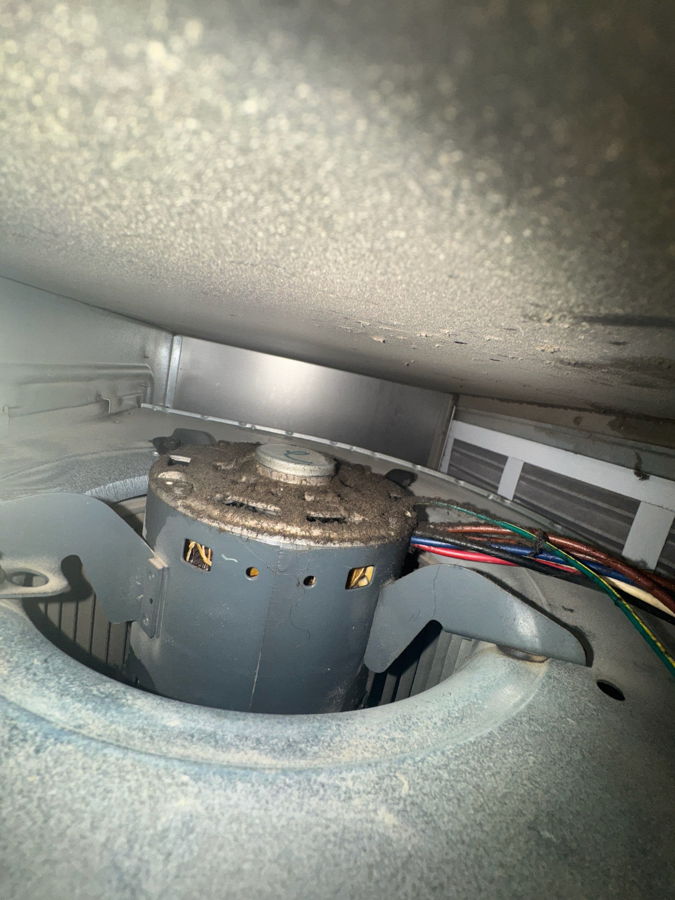 Project Prepare Your Furnace for Fall with Expert Cleaning image