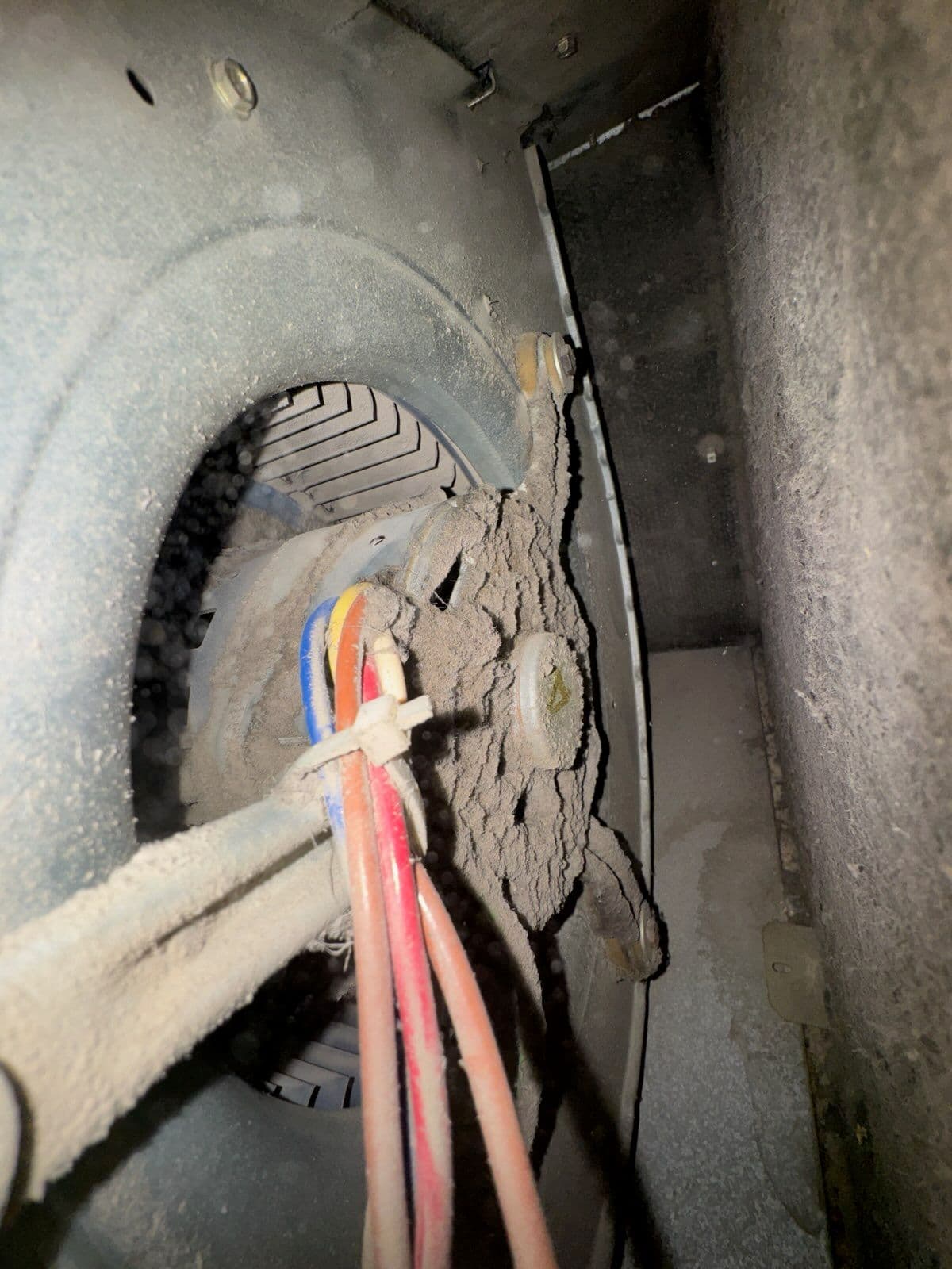 Gallery photos for Furnace Blower Motor Clean-Up in Draper: Image #1