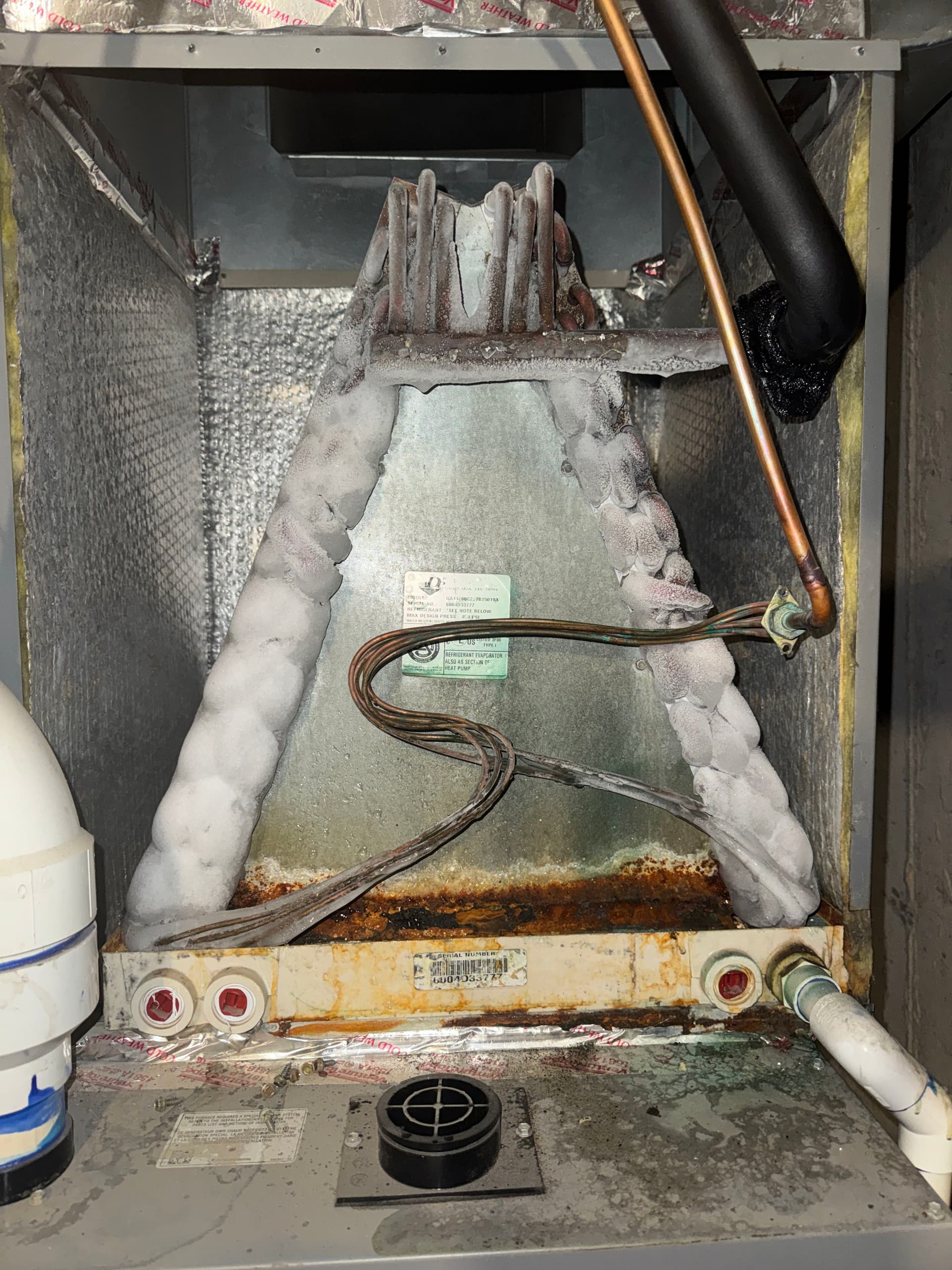 Gallery photos for Frozen AC Coil Repair in Cedar Hills: Image #1