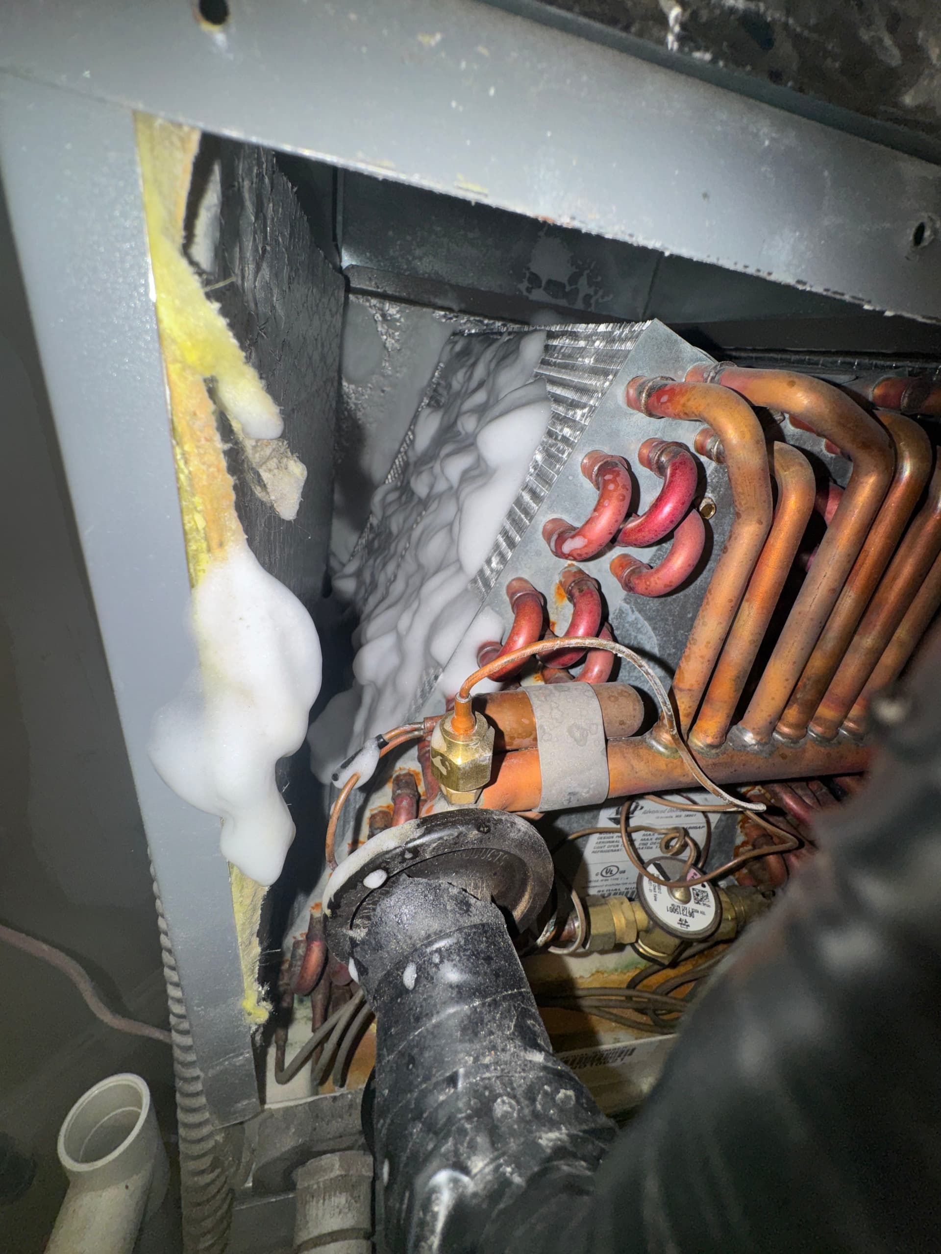 Gallery photos for A/C Tune-Up and Coil Cleaning in Provo: Image #1
