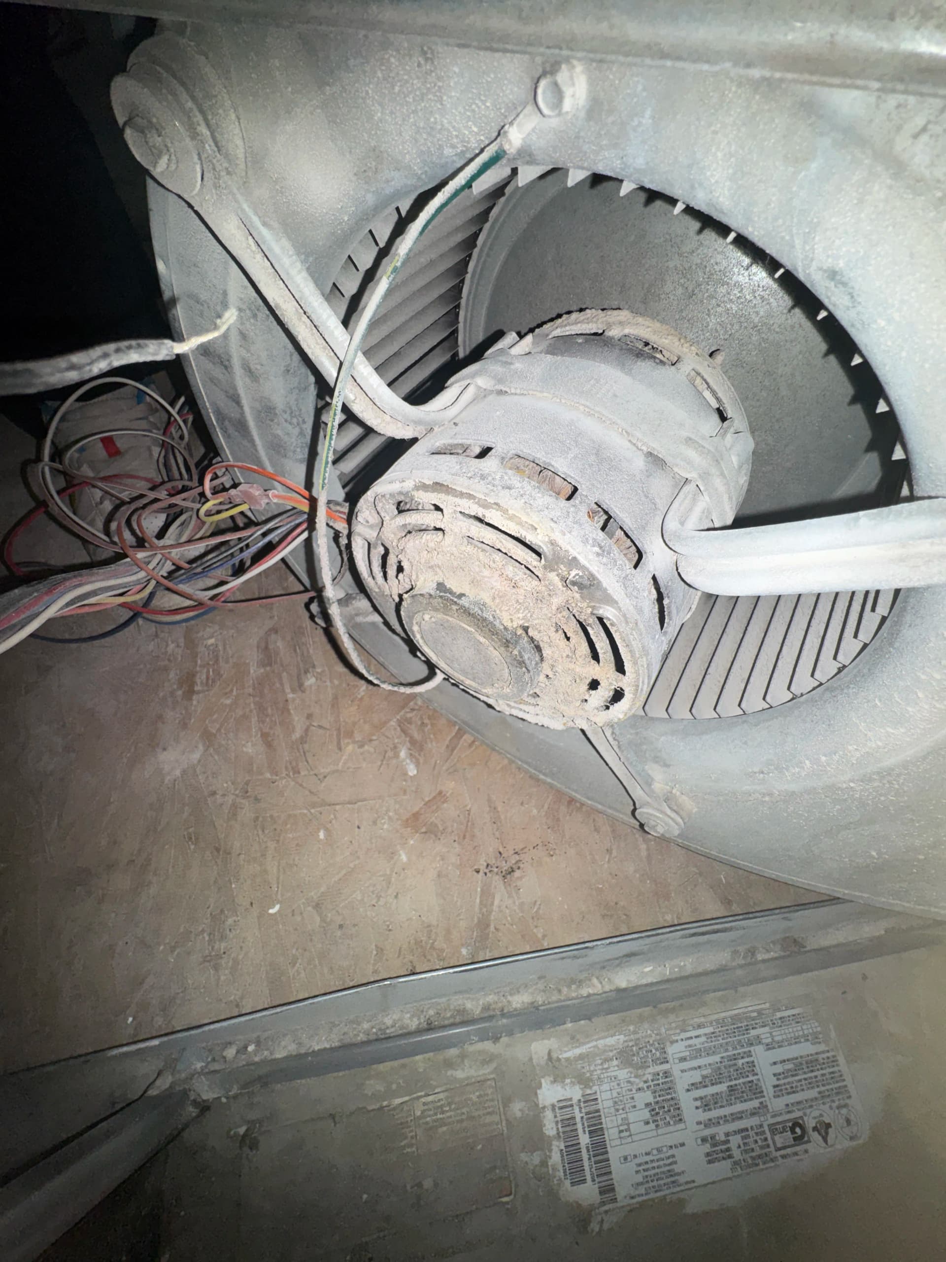 Dirty Blower Motor Cleaned Up in Orem image